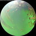 ./images/calvert/underwater/20260525/underwater20260525_121501M.jpg