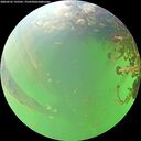 ./images/calvert/underwater/20260525/underwater20260525_122501M.jpg