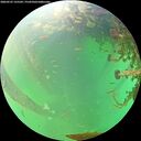 ./images/calvert/underwater/20260525/underwater20260525_125501M.jpg