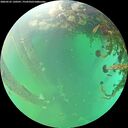 ./images/calvert/underwater/20260525/underwater20260525_130501M.jpg