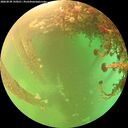 ./images/calvert/underwater/20260525/underwater20260525_135001M.jpg