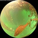 ./images/calvert/underwater/20260525/underwater20260525_135501M.jpg