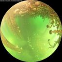 ./images/calvert/underwater/20260525/underwater20260525_142001M.jpg