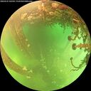 ./images/calvert/underwater/20260525/underwater20260525_142501M.jpg
