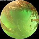 ./images/calvert/underwater/20260525/underwater20260525_144501M.jpg