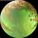 ./images/calvert/underwater/20260525/underwater20260525_150002M.jpg