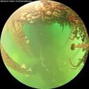 ./images/calvert/underwater/20260525/underwater20260525_152001M.jpg