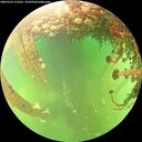 ./images/calvert/underwater/20260525/underwater20260525_152501M.jpg
