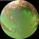 ./images/calvert/underwater/20260525/underwater20260525_154002M.jpg