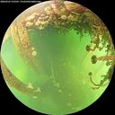 ./images/calvert/underwater/20260525/underwater20260525_155501M.jpg