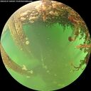./images/calvert/underwater/20260525/underwater20260525_160501M.jpg