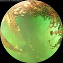 ./images/calvert/underwater/20260525/underwater20260525_161501M.jpg