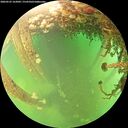./images/calvert/underwater/20260525/underwater20260525_162002M.jpg