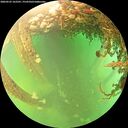 ./images/calvert/underwater/20260525/underwater20260525_162501M.jpg