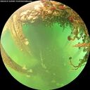 ./images/calvert/underwater/20260525/underwater20260525_163001M.jpg