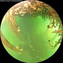 ./images/calvert/underwater/20260525/underwater20260525_163501M.jpg