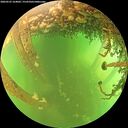 ./images/calvert/underwater/20260525/underwater20260525_164001M.jpg