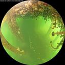 ./images/calvert/underwater/20260525/underwater20260525_164501M.jpg