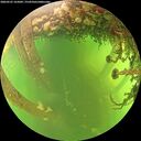 ./images/calvert/underwater/20260525/underwater20260525_165002M.jpg