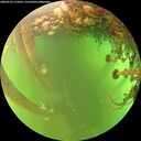 ./images/calvert/underwater/20260525/underwater20260525_171001M.jpg