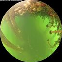 ./images/calvert/underwater/20260525/underwater20260525_171501M.jpg