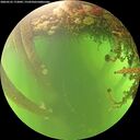 ./images/calvert/underwater/20260525/underwater20260525_172001M.jpg