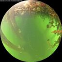./images/calvert/underwater/20260525/underwater20260525_172501M.jpg
