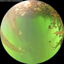 ./images/calvert/underwater/20260525/underwater20260525_173501M.jpg