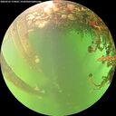 ./images/calvert/underwater/20260525/underwater20260525_174001M.jpg