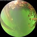 ./images/calvert/underwater/20260525/underwater20260525_174502M.jpg