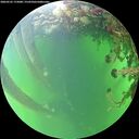 ./images/calvert/underwater/20260525/underwater20260525_175001M.jpg