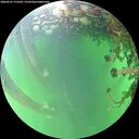 ./images/calvert/underwater/20260525/underwater20260525_175501M.jpg