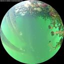 ./images/calvert/underwater/20260525/underwater20260525_180002M.jpg