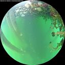 ./images/calvert/underwater/20260525/underwater20260525_180501M.jpg