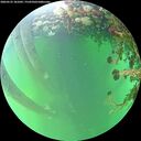 ./images/calvert/underwater/20260525/underwater20260525_181002M.jpg
