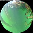./images/calvert/underwater/20260525/underwater20260525_181501M.jpg