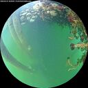 ./images/calvert/underwater/20260525/underwater20260525_182001M.jpg
