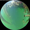 ./images/calvert/underwater/20260525/underwater20260525_182501M.jpg