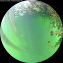 ./images/calvert/underwater/20260525/underwater20260525_183001M.jpg