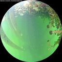 ./images/calvert/underwater/20260525/underwater20260525_183501M.jpg