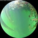 ./images/calvert/underwater/20260525/underwater20260525_184002M.jpg