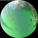 ./images/calvert/underwater/20260525/underwater20260525_184501M.jpg