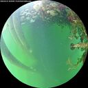 ./images/calvert/underwater/20260525/underwater20260525_185001M.jpg