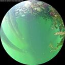./images/calvert/underwater/20260525/underwater20260525_185501M.jpg