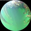 ./images/calvert/underwater/20260525/underwater20260525_190501M.jpg