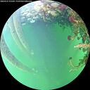 ./images/calvert/underwater/20260525/underwater20260525_191002M.jpg