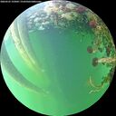 ./images/calvert/underwater/20260525/underwater20260525_193002M.jpg