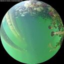 ./images/calvert/underwater/20260525/underwater20260525_193501M.jpg