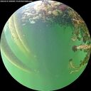 ./images/calvert/underwater/20260525/underwater20260525_200001M.jpg