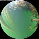./images/calvert/underwater/20260525/underwater20260525_200501M.jpg